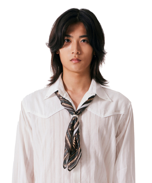 Western Sun Printed Scarf (Brown)