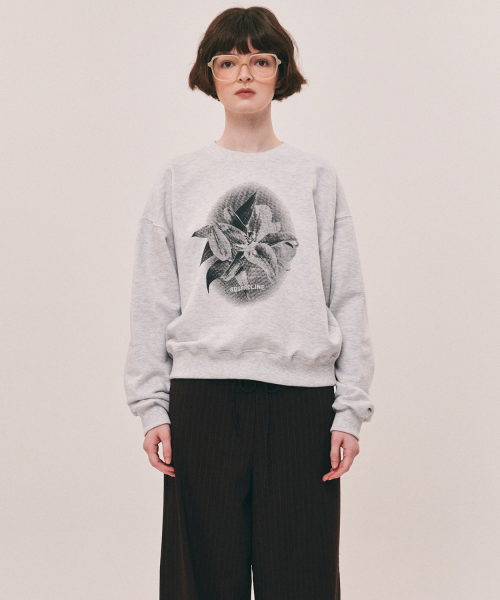 Lily Sweatshirts - 3color