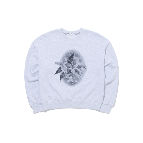 Lily Sweatshirts - 3color