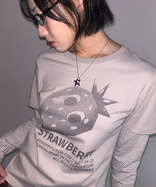 Ash Strawberry Layered LS-T [Grey]
