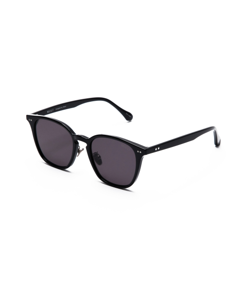 Photocromic Sunglass H.LAB 02 C1