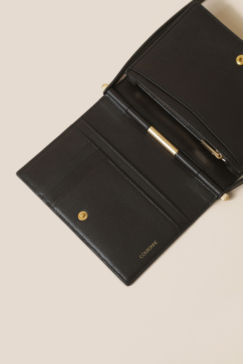 Mael Passport Wallet (Brown)_RCWGX24643BRD