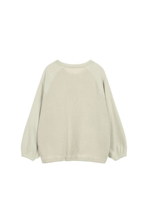 SMOOTH D LOGO SWEATSHIRTS IN ASH BEIGE