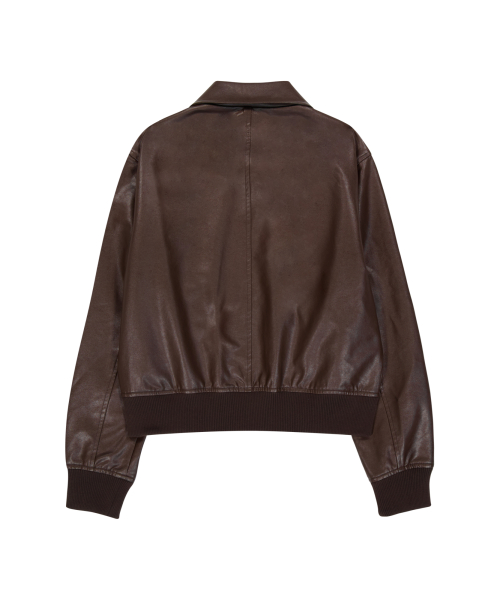 Western Collar Leather Jacket (Brown)
