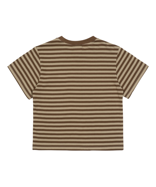 TCM starfish stripe T (brown)