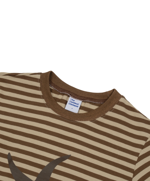 TCM starfish stripe T (brown)