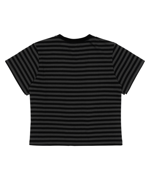 TCM starfish stripe T (black)