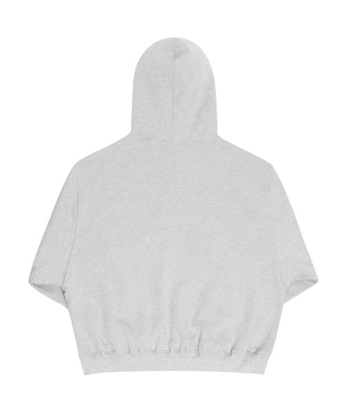 Snake Embroidered Button Hoodie Gray