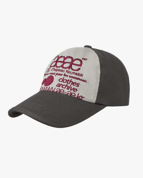 WEB LOGO 5 PANNEL BALL CAP [CHARCOAL/ASH]