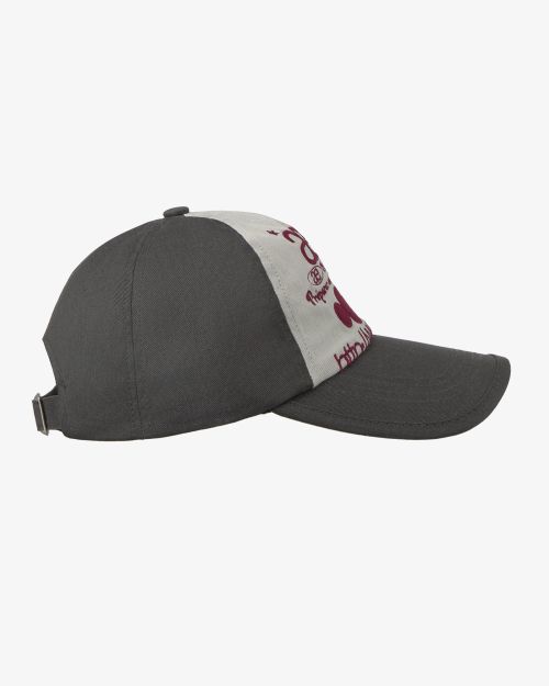 WEB LOGO 5 PANNEL BALL CAP [CHARCOAL/ASH]