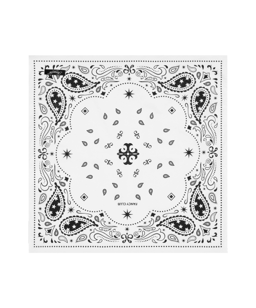 WESTERN PAISLEY BANDANA F25ZE035