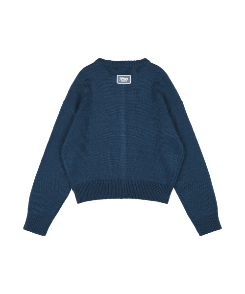 SWALE KNIT CARDIGAN (BLUE) F25ZA007