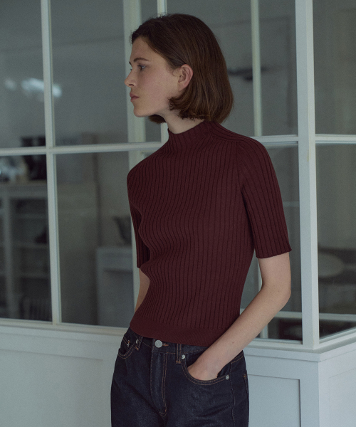 Holgament High-neck Half-sleeve Knit Top[LMBEAUKN293]-2color