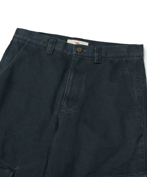 PIERRE CARGO (NAVY)