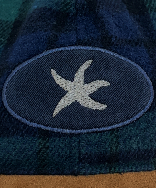 TCM check logo cap (green)