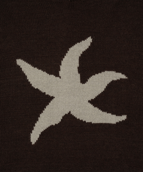 TCM starfish logo knit hoodie (brown)