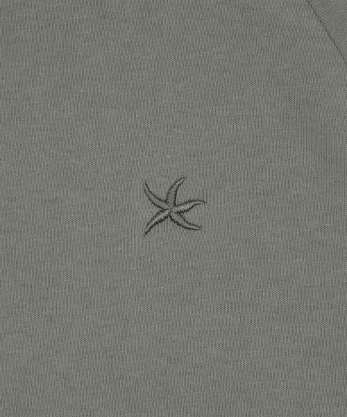 TCM hooded raglan long sleeve (grey)