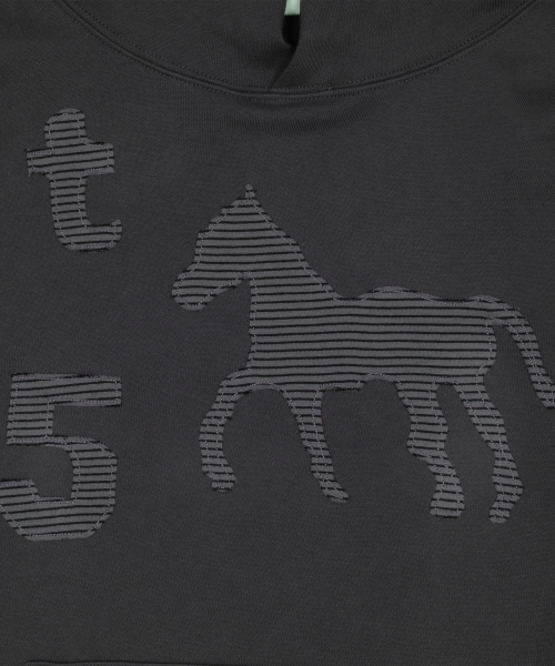 TCM stripe horse hoodie (charcoal)