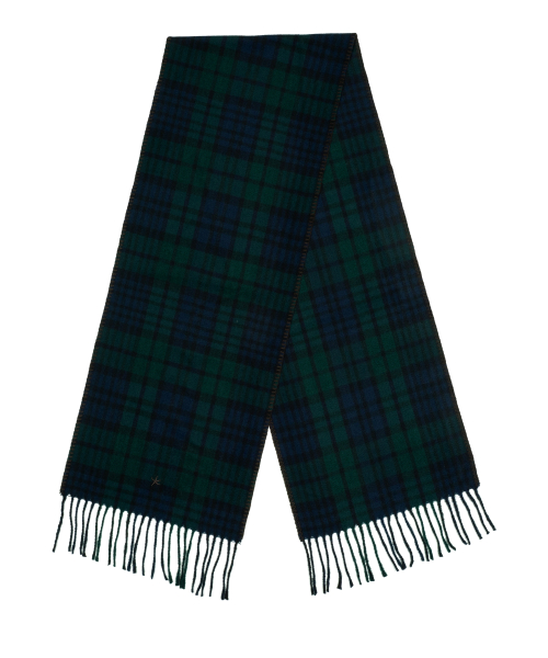 TCM mini logo check muffler (green/navy)