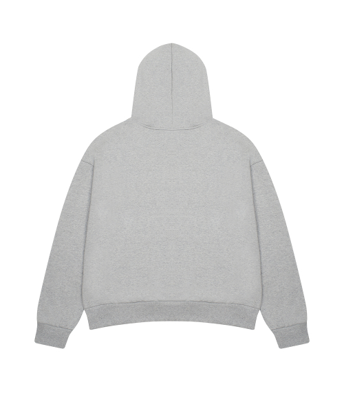 EV STAR GRAPHIC HOODIE(GRAY)