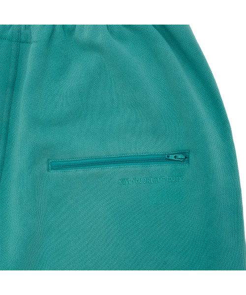 tuewid classic embroidery set up pants in turquoise