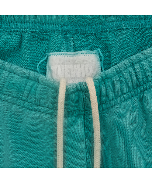 tuewid classic embroidery set up pants in turquoise