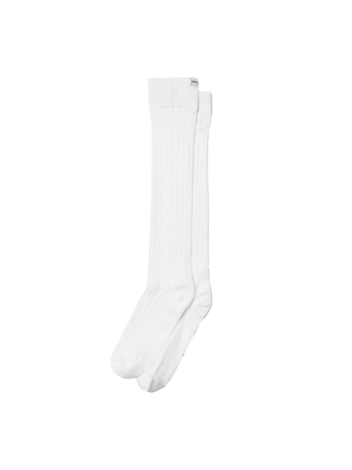 Soft Sheer Daily Socks_4 color
