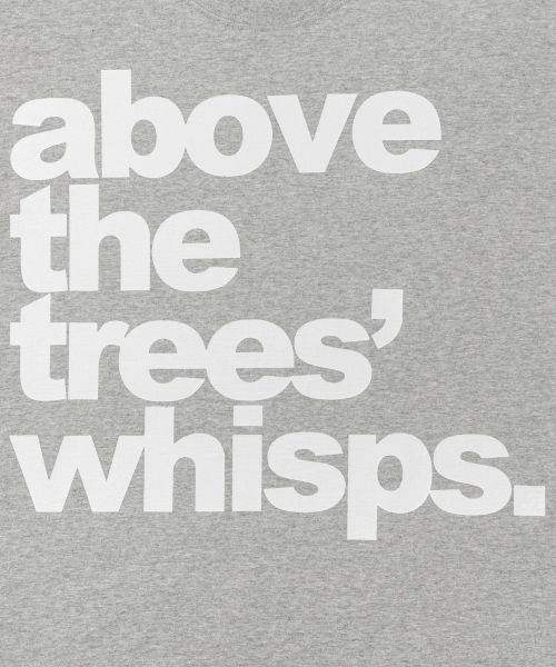 TCM above long sleeve (melange grey)
