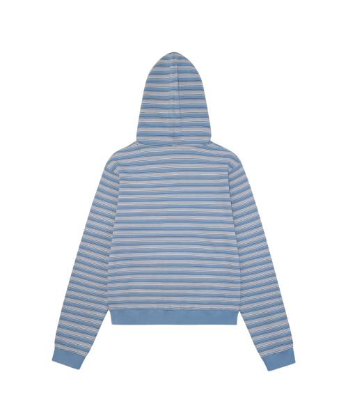 TCM stripe standard hooded zip-up (blue)
