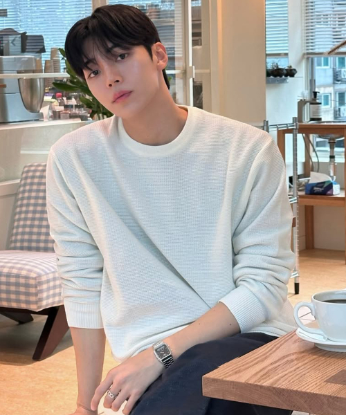 Washable Tissue Semi-Oversized Fit Knitwear - 5color