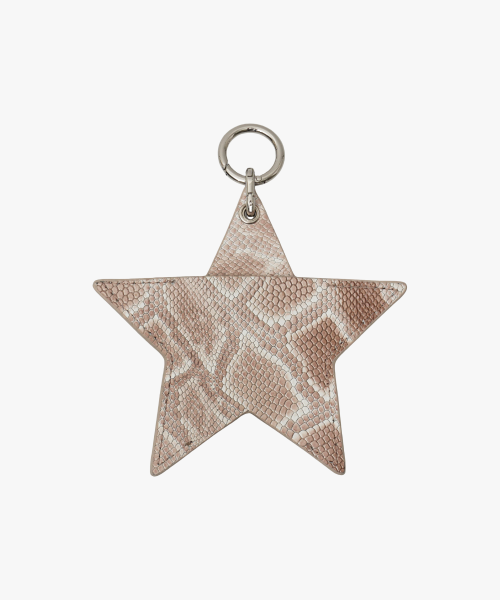 BIG STAR CARD SLOT KEYRING IN BEIGE