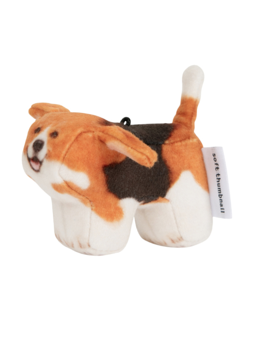 Tori, Beagle
