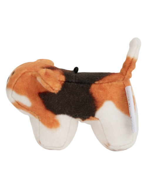 Tori, Beagle