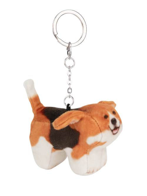 Tori, Beagle