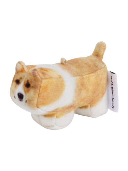 Moongchi, Welsh Corgi