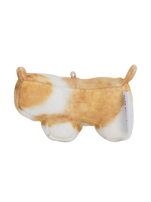 Moongchi, Welsh Corgi