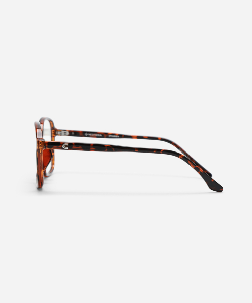 SAGON · LEOPARD