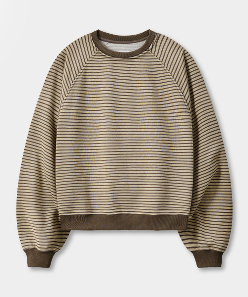 RAGLAN STRIPE SWEAT SHIRT_3 COLOR