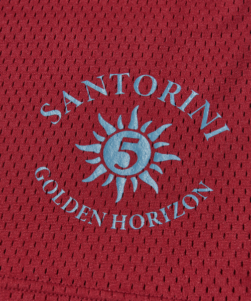 Santorini Sun Mesh Shorts_BURGUNDY