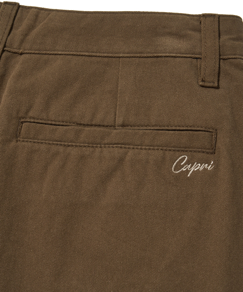 Capri Washed Chino Shorts_BROWN