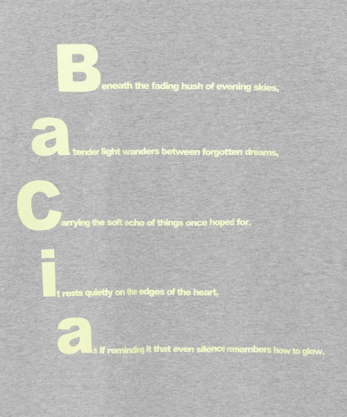 TCM bacia long sleeve (melange grey)