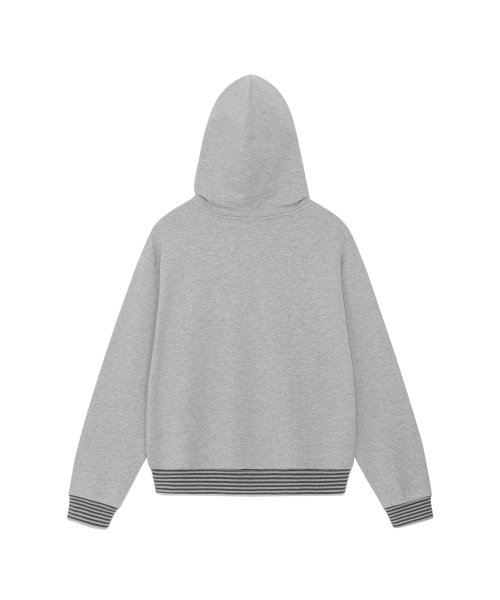 TCM snow stripe hooded zip-up (grey)