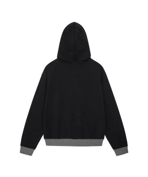 TCM snow stripe hooded zip-up (black)