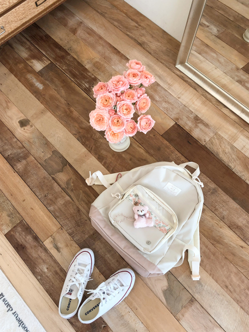 Bon voyage backpack_vintage rose