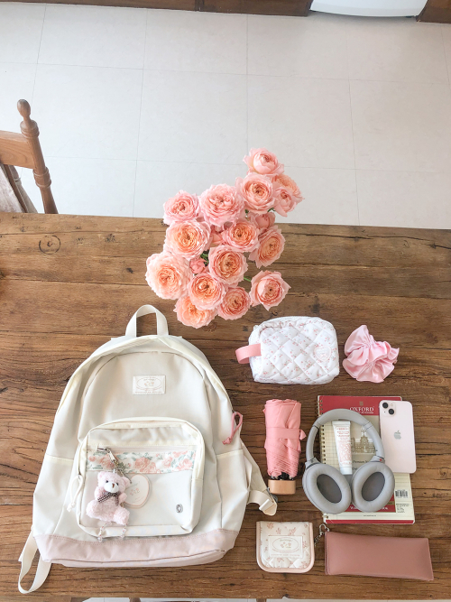 Bon voyage backpack_vintage rose