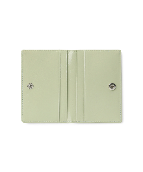 CRINKLE SOFT CARD CASE - PISTACHIO
