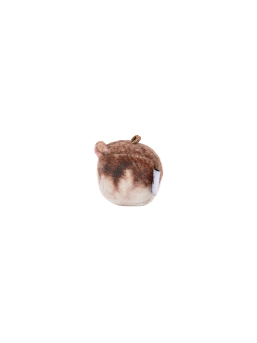 Bamtol, Djungarian Hamster