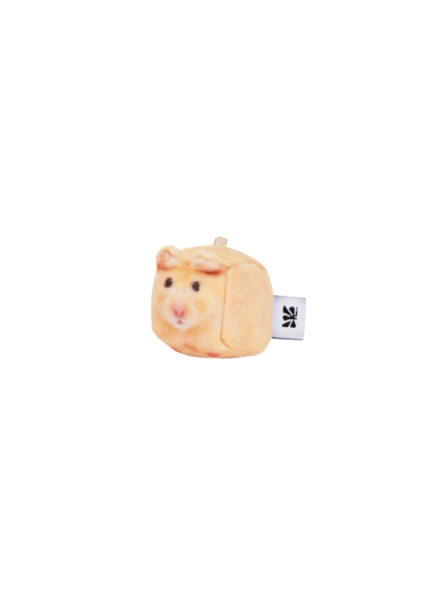 Mango, Golden Hamster