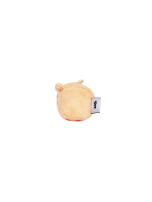 Mango, Golden Hamster