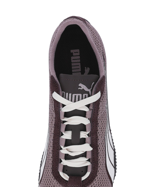 H-Street - Sandstone-Chocolate Brown / 403775-03